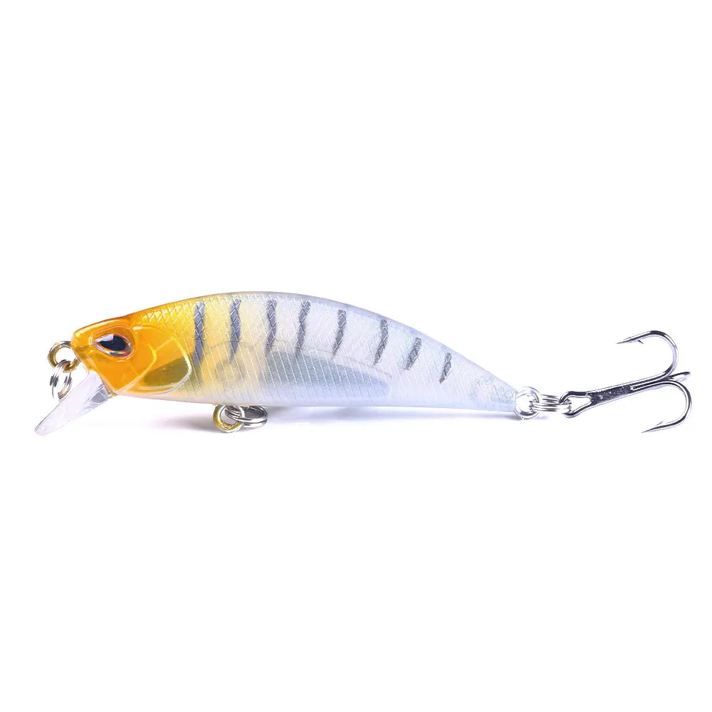 1Pcs 5.8Cm 5.4g Pesca Jerkbait Lure